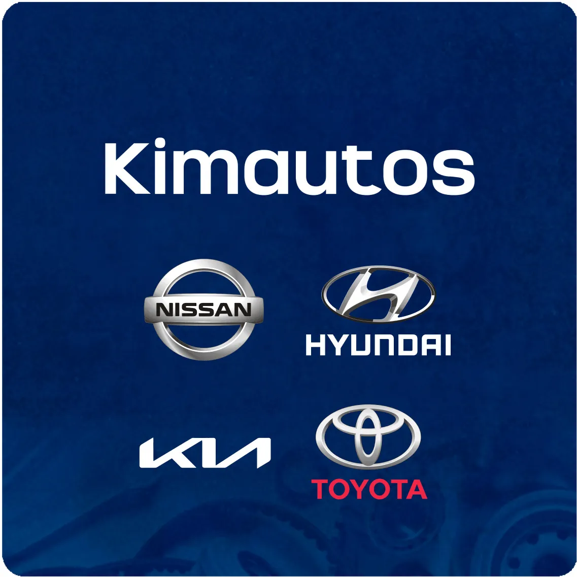 Makoto — Frenos y filtración